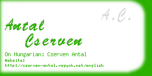 antal cserven business card